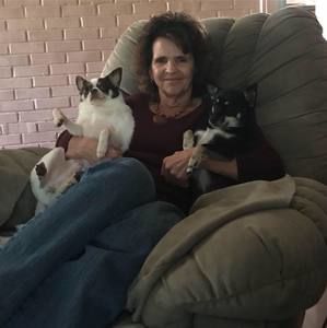 Meet your Posher, Ellen